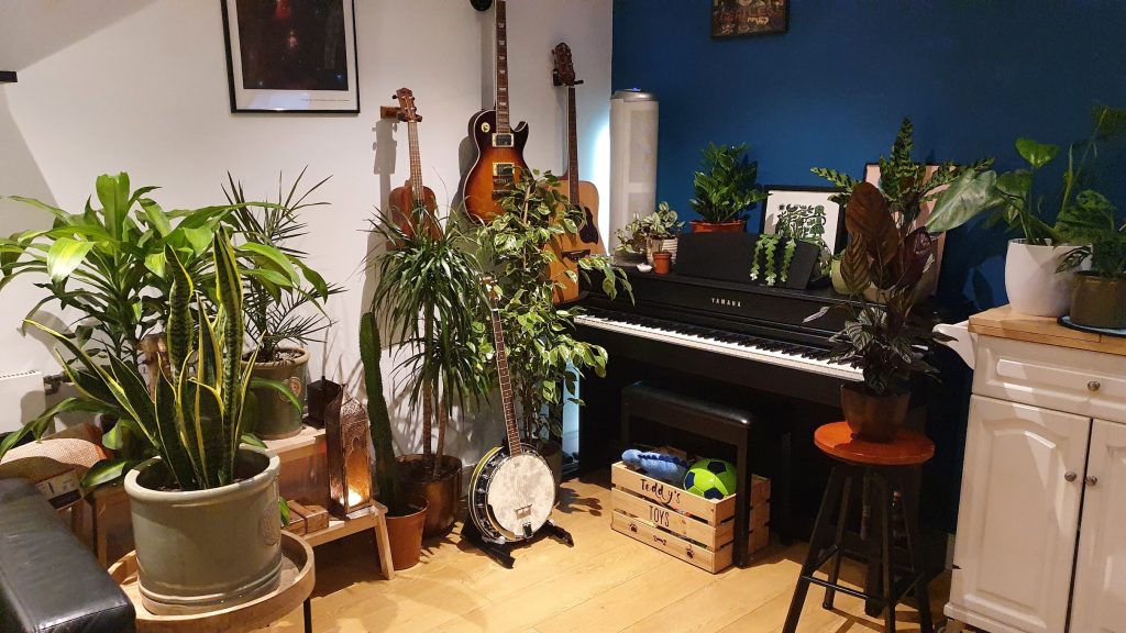 Houseplants in a London flat.